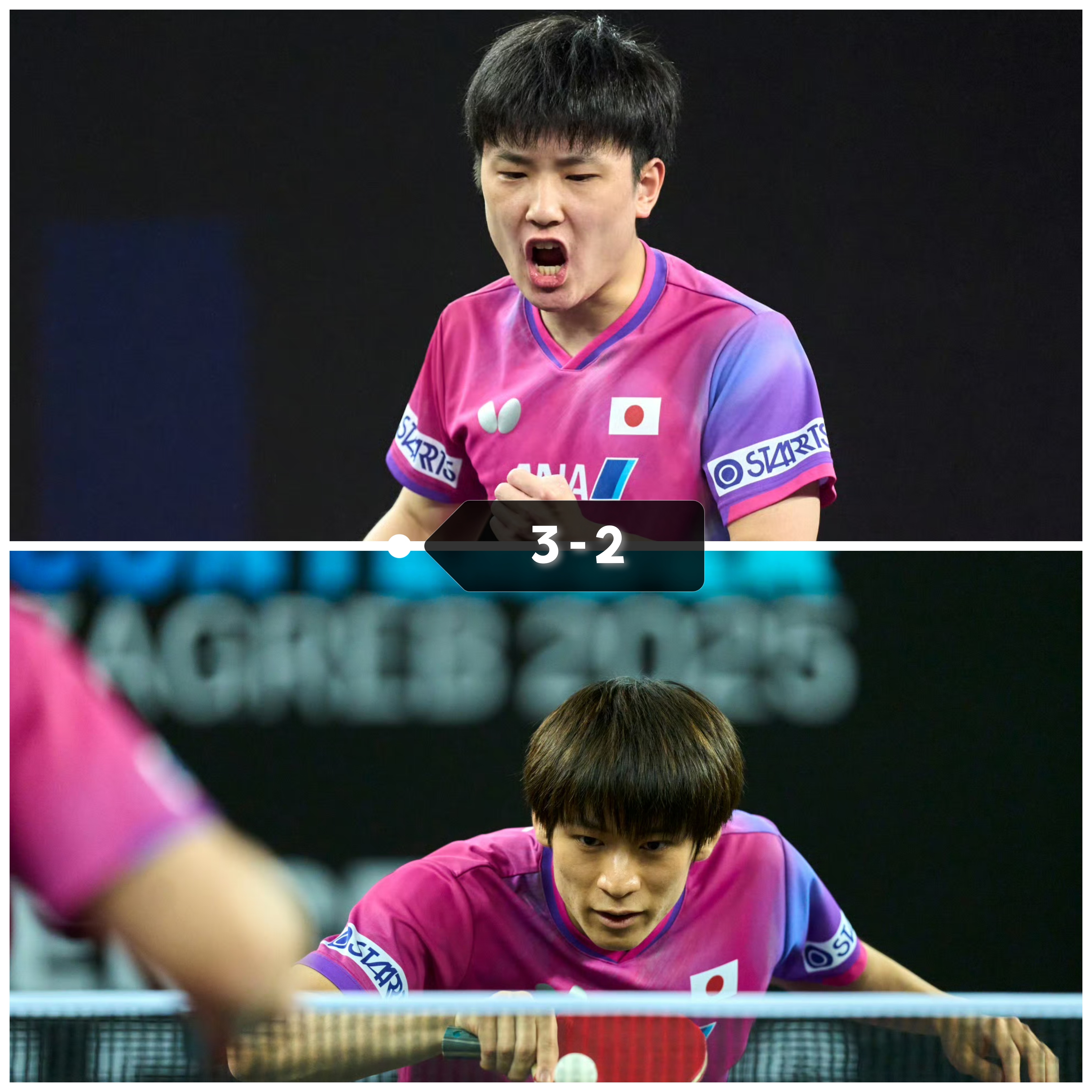 爱游戏大厅-中国队碾压波兰队，张本智和刷新纪录